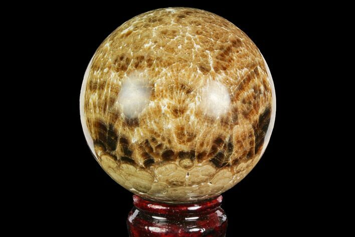 Polished Chocolate Calcite Sphere - Pakistan #149526